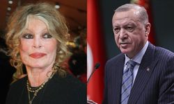Brigitte Bardot, Erdoğan'a sokak hayvanları için mektup yazdı