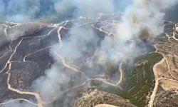 Çeşme’de orman yangını: 3 kişi yaşamını yitirdi