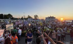 Hayvanseverler Kadıköy'de bir araya geldi: Tek bir dostumuzun tüyüne dokundurmayacağız