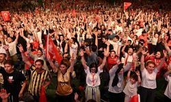 Türkiye'nin Avusturya büyükelçisinden milli takım taraftarlarına 'ölçülü kutlama' çağrısı