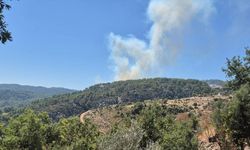 Antalya'nın Kaş ilçesinde orman yangını