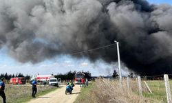 Tekirdağ'da boya fabrikasında yangın