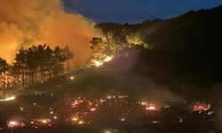 Muğla'daki orman yangınları sürüyor