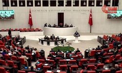 Saadet Partisi'nin 'yenidoğan çetesi' skandalına ilişkin verdiği önerisi AK Parti ve MHP oylarıyla reddedildi