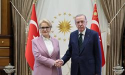 Erdoğan, Meral Akşener'e açtığı davalardan vazgeçti