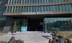 Üsküdar Belediyesi ruhsatsız otopark işletti, hayvanlar için ayrılan paraları amacı dışında kullandı