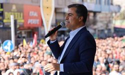 DEM Parti'den Zeydan açıklaması: Van Büyükşehir Belediyesi eşbaşkanlarımız görevleri başında