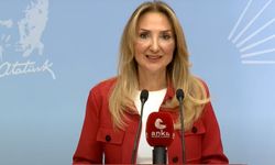 CHP'li Aylin Nazlıaka: 2024'te 608 kadın cinayeti gerçekleşti