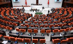 Saadet Partisi, DEVA Partili iki ismin katılımıyla yeniden grup kurdu