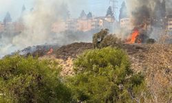 ABD'nin San Diego bölgesinde yangın riski sürüyor