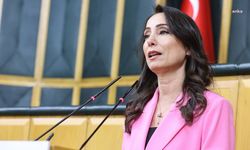 Hatimoğulları: TBMM'de tam yetkilendirilmiş bir komisyona acilen ihtiyaç var