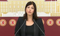 HDP Adana Milletvekili Meral Danış Beştaş tutuklandı