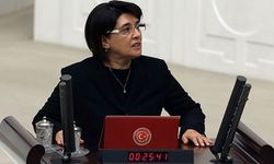 Leyla Zana, TBMM Başkanı'na mektup yazdı