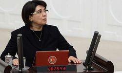 Leyla Zana'dan BM'ye IKBY referandumu için mektup