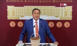 CHP'li Torun: Üreticinin elinde fındık kalmayınca mı fiyat açıklıyorsunuz?