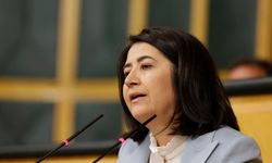HDP'li Kemalbay: Barış demekten neden korkuyorsunuz?