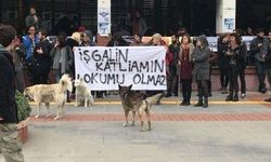 Boğaziçi Üniversitesi öğrencilerinden 9'u tutuklandı, 6'sı adli kontrol şartıyla serbest bırakıldı