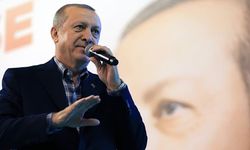 Bloomberg: Erdoğan Türkiye'nin kredi notunu tehlikeye atıyor