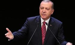 Hollanda: Erdoğan'ın ülkemizdeki seçmenlere mektup göndermesi içişlerine müdahale