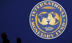 Vakıfbank Yönetim Kurulu Başkanı Kaya, IMF İcra Direktörü oldu