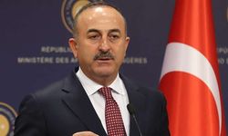 Çavuşoğlu: Hollanda hükümetini Nazi olmakla suçlamadık