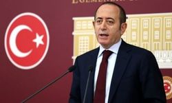 CHP'li Hamzaçebi: Bir kamu hizmeti olan deniz yolcu taşımacılığı belediye tarafından yapılmalıdır