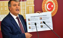 HDP milletvekili Toğrul'a hapis cezası