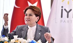 Akşener'den 'Gezi Davası' ve 'Osman Kavala' yorumu: Vahim bir durum