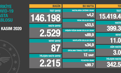Türkiye'de son 24 saatte koronavirüs nedeniyle 87 kişi hayatını kaybetti, 2 bin 529 yeni hasta tespit edildi