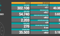Türkiye’de koronavirüs nedeniyle son 24 saatte 276 kişi hayatını kaybetti, tespit edilen vaka sayısı 54 bini geçti