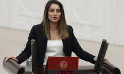 CHP'li Bankoğlu, İçişleri Bakanı Süleyman Soylu'ya Yeldana Kahraman'ı sordu