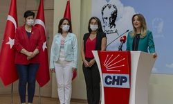 CHP Kadın Kolları kadına yönelik şiddetle mücadele için yollara düşüyor