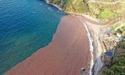 Zonguldak’ta denizin rengi değişti