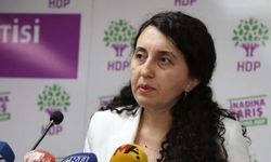 HDP Sözcüsü Günay: "AYM baskılara dayanamamıştır"