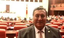 CHP'li Gürer: “1 milyon öğrenci ve  600 bin sürücü af bekliyor”