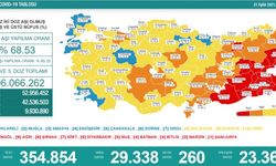 Türkiye'de koronavirüs nedeniyle son 24 saatte 260 kişi hayatını kaybetti, tespit edilen vaka sayısı 29 bin 338 oldu