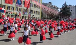 Danıştay, milli bayramların okullarda kutlanmasına karar verdi