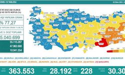 Türkiye'de koronavirüs nedeniyle son 24 saatte 228 kişi hayatını kaybetti, tespit edilen vaka sayısı 28 bin 192 oldu