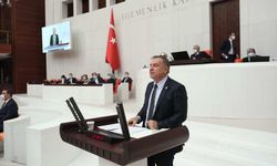 CHP'li Zeybek: "AKP, bundan sonra yapılacak olan bütün seçimleri kaybetmeye namzettir"