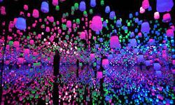 Japon Teknolojisi ve Sanat; “Tokyo TeamLab Borderless”