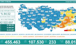 Türkiye’de koronavirüs nedeniyle son 24 saatte 233 kişi hayatını kaybetti, tespit edilen vaka sayısı 107 bin 530 oldu