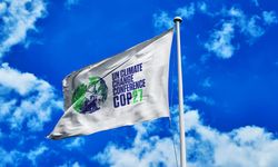 A New Dysfunctional Meeting Amid the Climate Crisis: COP27