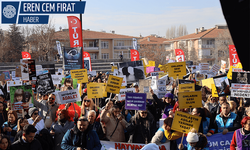 Hayvan hakları savunucuları Ankara’da buluştu