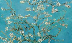 Sanat ve estetik algısı üzerine: Beynimin içinde bir Van Gogh gecesi