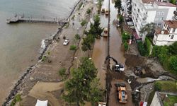 AFAD duyurdu: Karadeniz’de bine yakın toprak kayması ve heyelan gerçekleşti