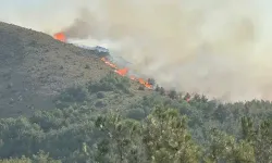 Gökçeada'daki orman yangını 16 saat sonra kontrol altına alındı