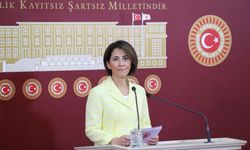 CHP'li Aylin Yaman: Yüzde 85'i ithalata bağlı olan tıbbi cihaz sektörü, kur riski en yüksek sektörlerden birisi