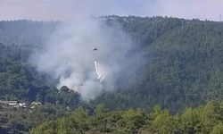 Alanya'da orman yangını