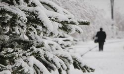 ABD'de soğuk hava nedeniyle 21 kişi yaşamını yitirdi