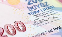 Hafize Gaye Erkan imzalı yeni 200 TL'lik banknotlar tedavülde